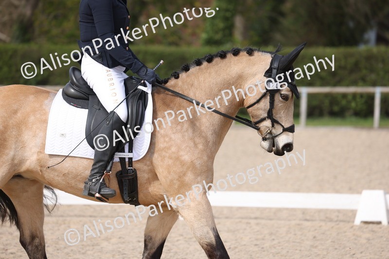 20260404-0872 - Class 5 - Novice 2