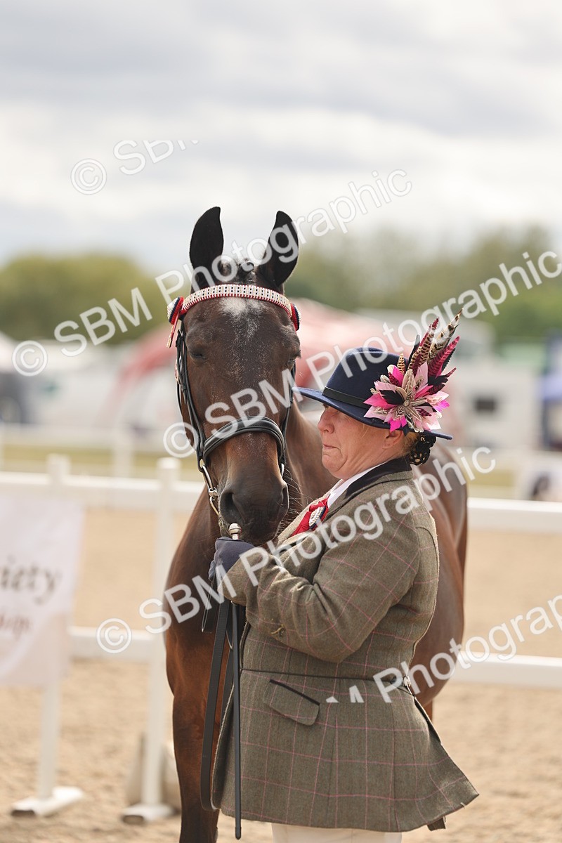 SBM_16990 - Class 312 - IH Competition Horse-Pony