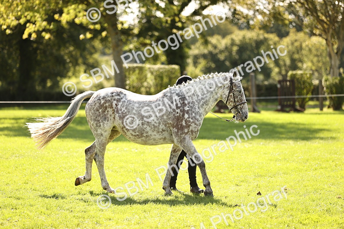 SBM_26124 - S5 - Novice & Newcomers In Hand