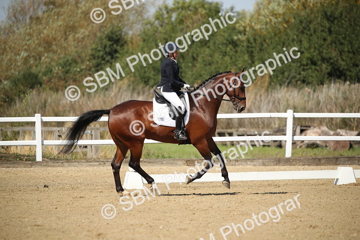 SBM_004997 - Class 11 - Novice 5 - 11.41-12.58