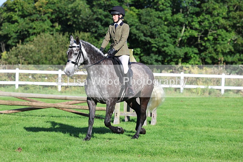 3E7A7624 - Class 1: Novice Working Hunter Pony