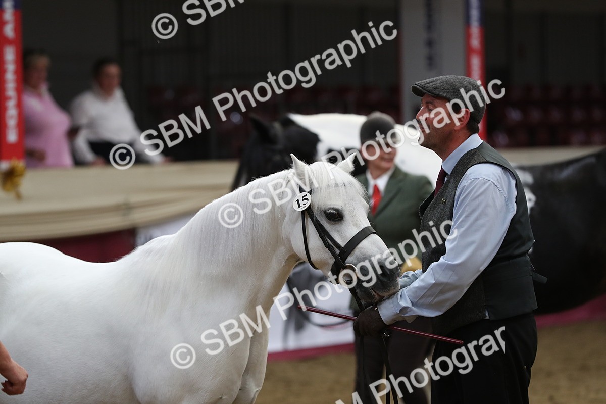 SBM_06419 - Class 9R Regional- IH Pre Vet