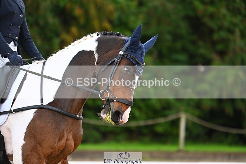 231021-092914-12550 - 224-KOLESTON.PERFECT-Torie.Sleep-DR