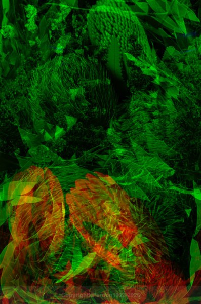 STILL LIFE-CYCLE - STILL LIFE-CYCLE I 2012