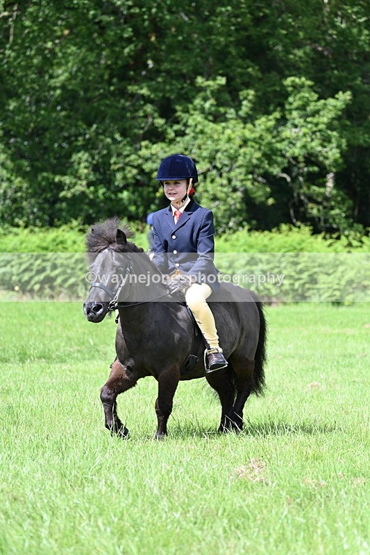 WJ7_1259 - Class 11 Condition & Turnout