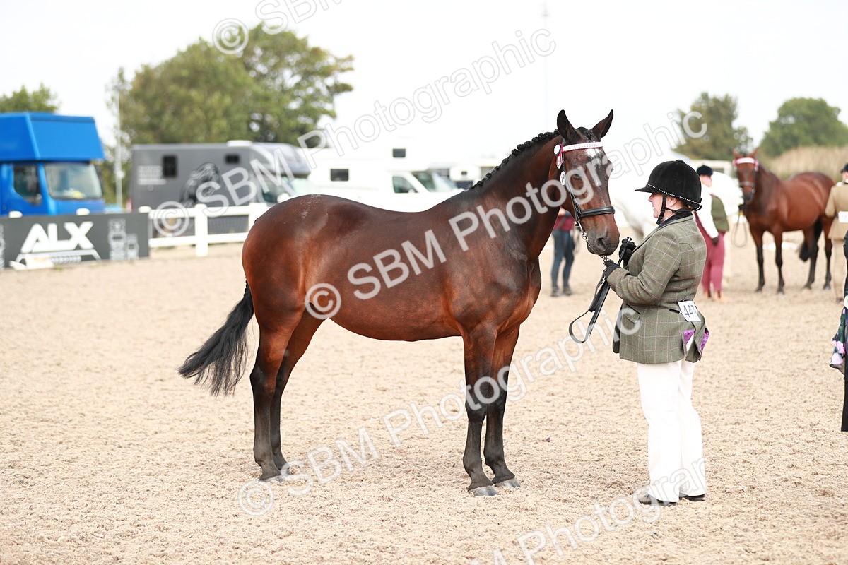 SBM_13289 - Class 208 IH Veteran Horse