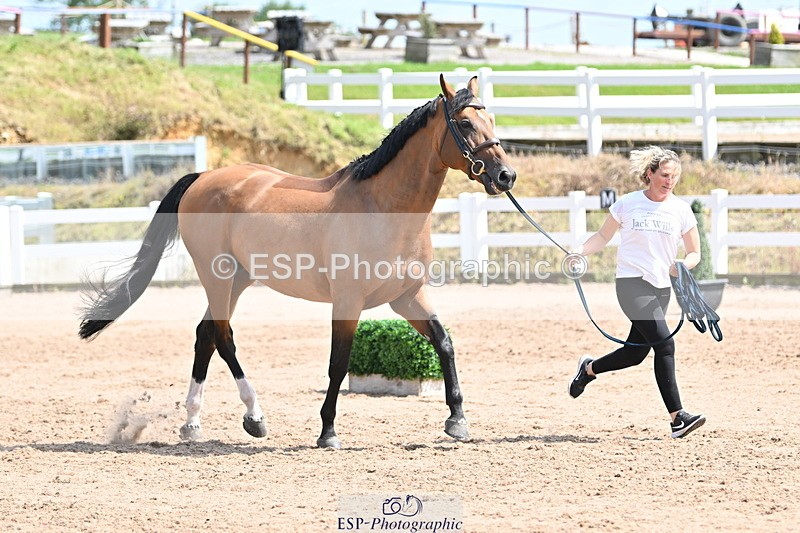 240717A-152012-02762 - Trot Up 3pm to 4pm
