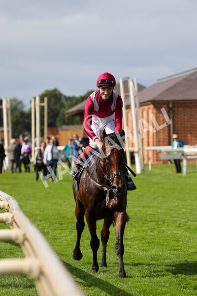 yr18082021r4-97 - Race 4 3.35pm Juddmonte International Stakes (British Champion Series race)