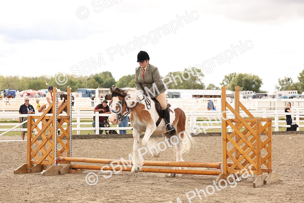 SBM_05204 - Class 56b -  Style & Performance - 50cm (20+)