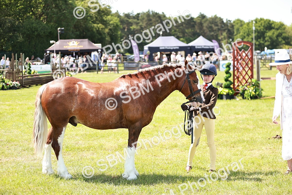 SBM_15611 - Class 108-109 - BSPS LIHS Open Gradle & Nursery Stakes