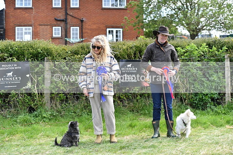 WJ5_0866 - Best in Show Championship