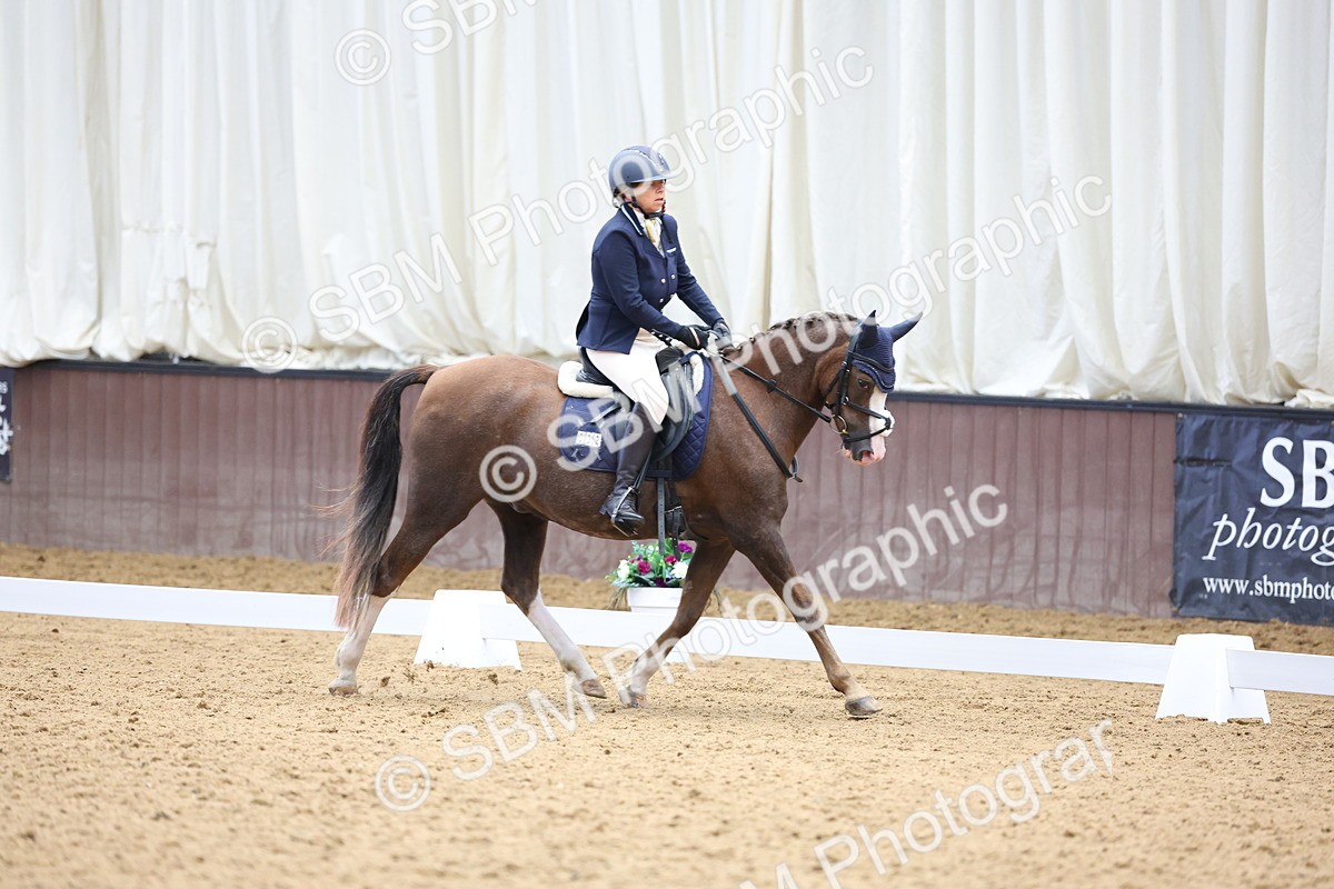 SBM_015746 - Class 15 - Novice FSM - 9.50 - 11.10