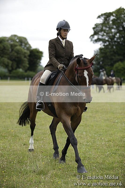 BVR160717-786 - Ring 1 BVRC Show 16/07/17