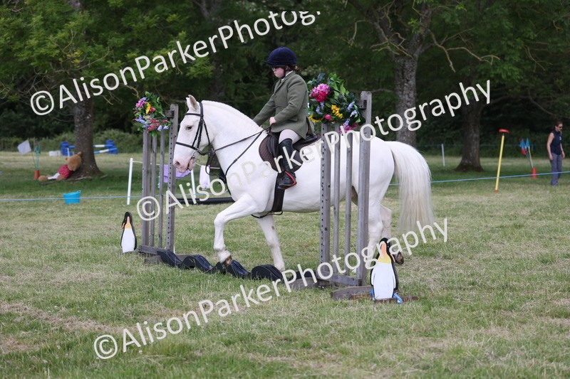 20260614-0773 - Class 20 - Beginners Working Hunter Pony