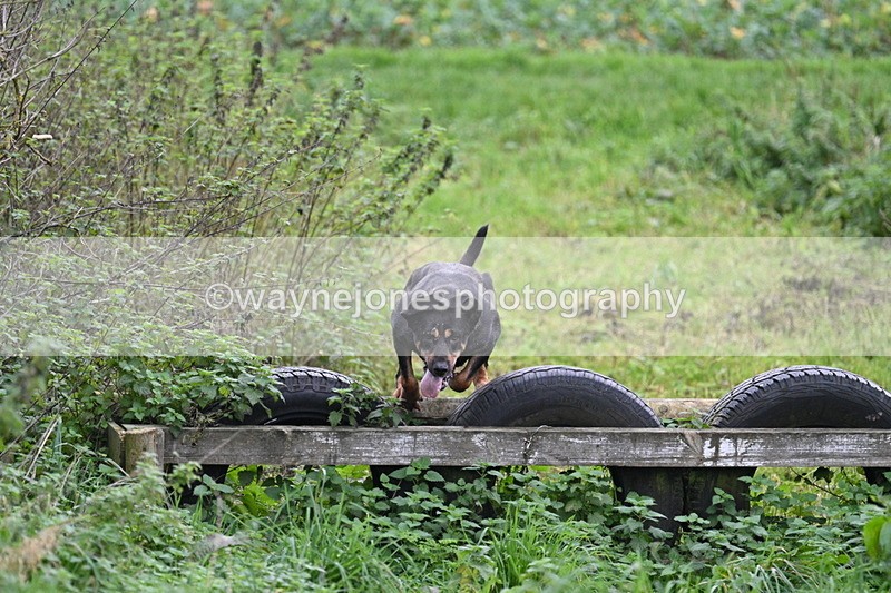 WJ7_8953 - Camera 1 only on this line