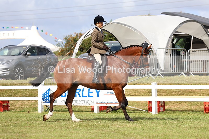 3E7A9275 - Class 4: Rising Star M/H Hunter