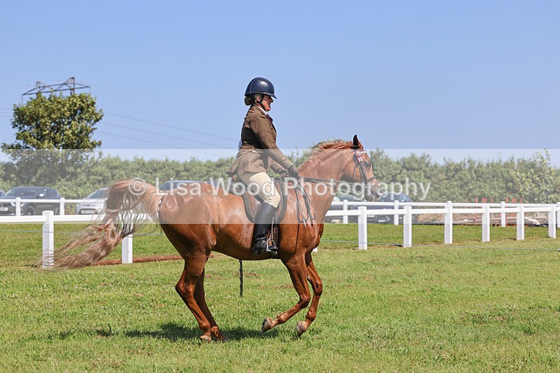 IMG_2222 - Class 37: Pure, Anglo & Part Bred Ridden Arab