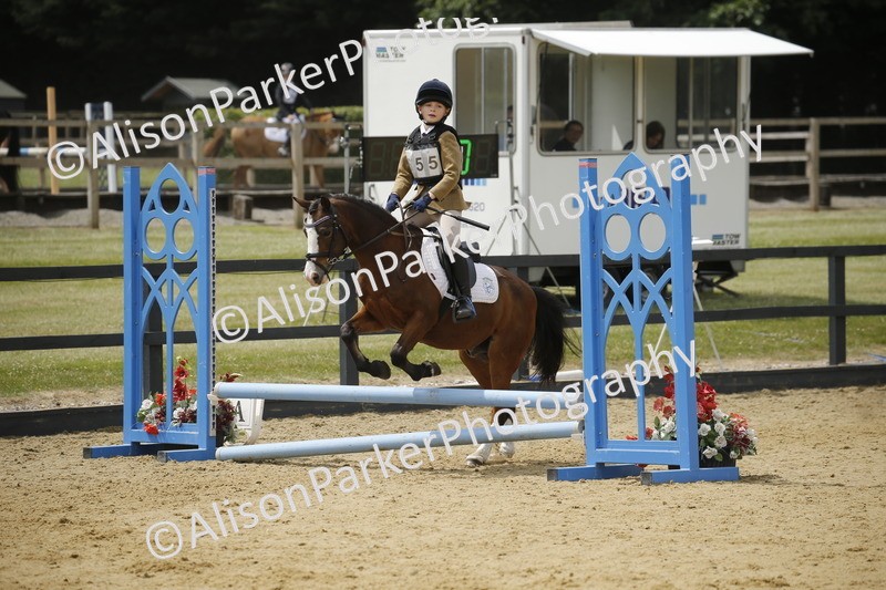 20250622-4763 - 50cm