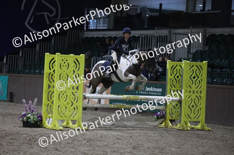 20260125-5087 - Class 5 - 80cm