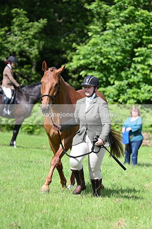 WJ7_1083 - Class 11 Condition & Turnout