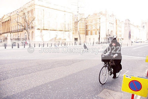 Cycling Up The Mall - TripTo London 2010