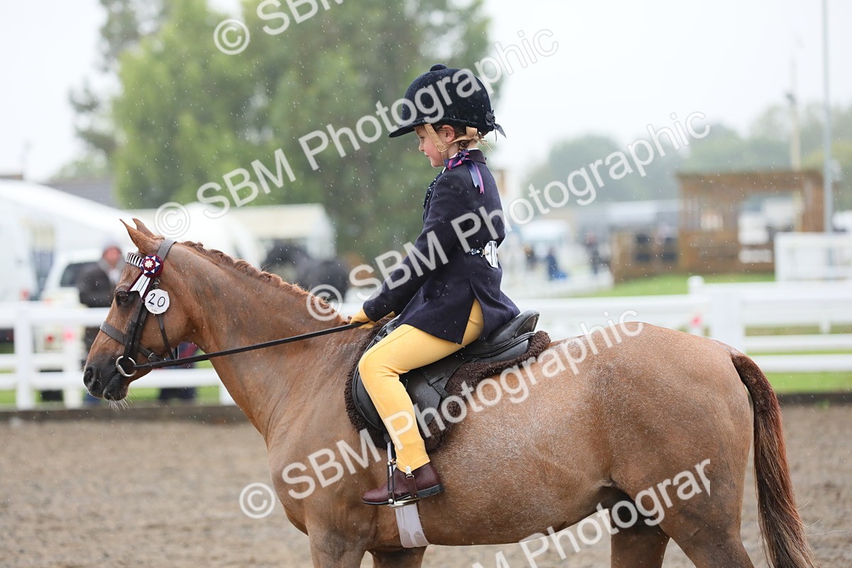 SBM_20585 - Class 804 - Ridden Veteran Pony