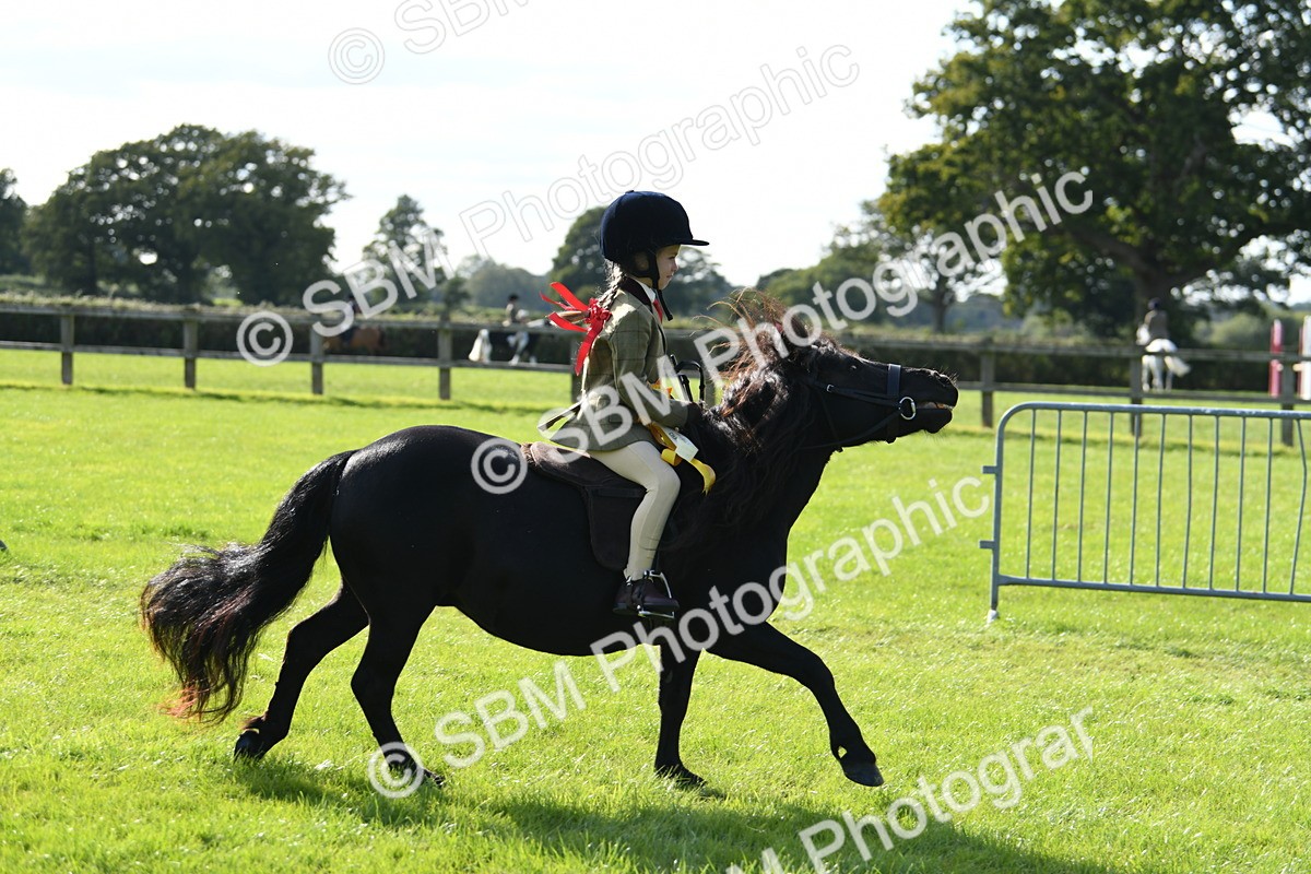 SBM_50517 - S21 - Novice & Newcomers 1st Ridden Pony