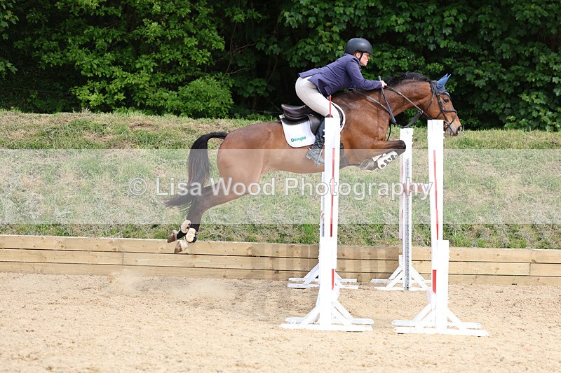 3E7A7801 - Class 8: Senior Foxhunter/1.20 open
