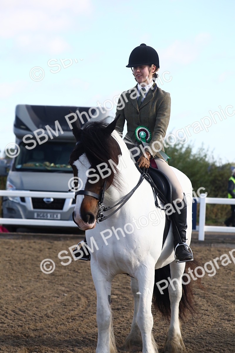 SBM_08606 - Class 502 - Riding Club Horse