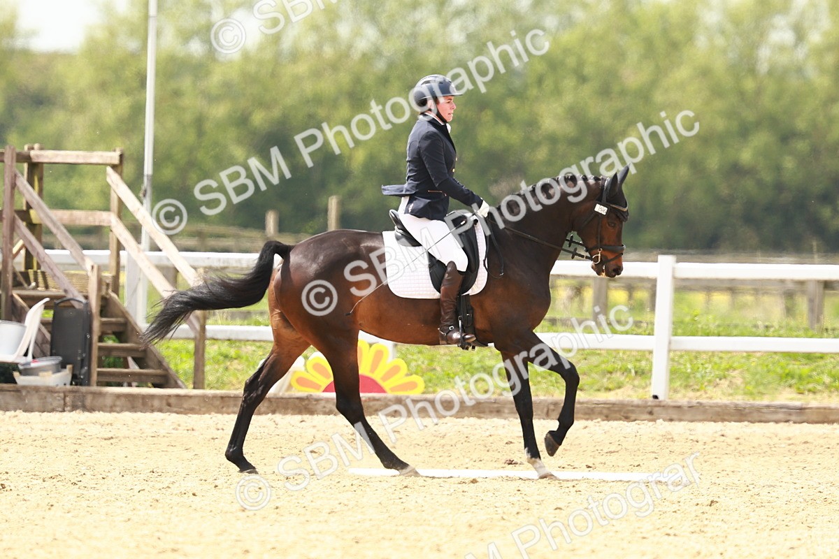 SBM_002704 - Class 12 - Medium 4