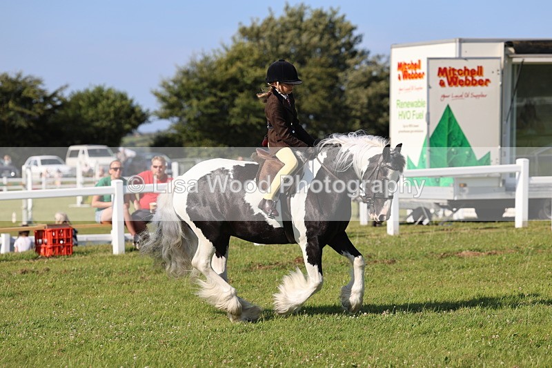 IMG_1506 - Class 30: Ridden Native/Trad Coloured Pony