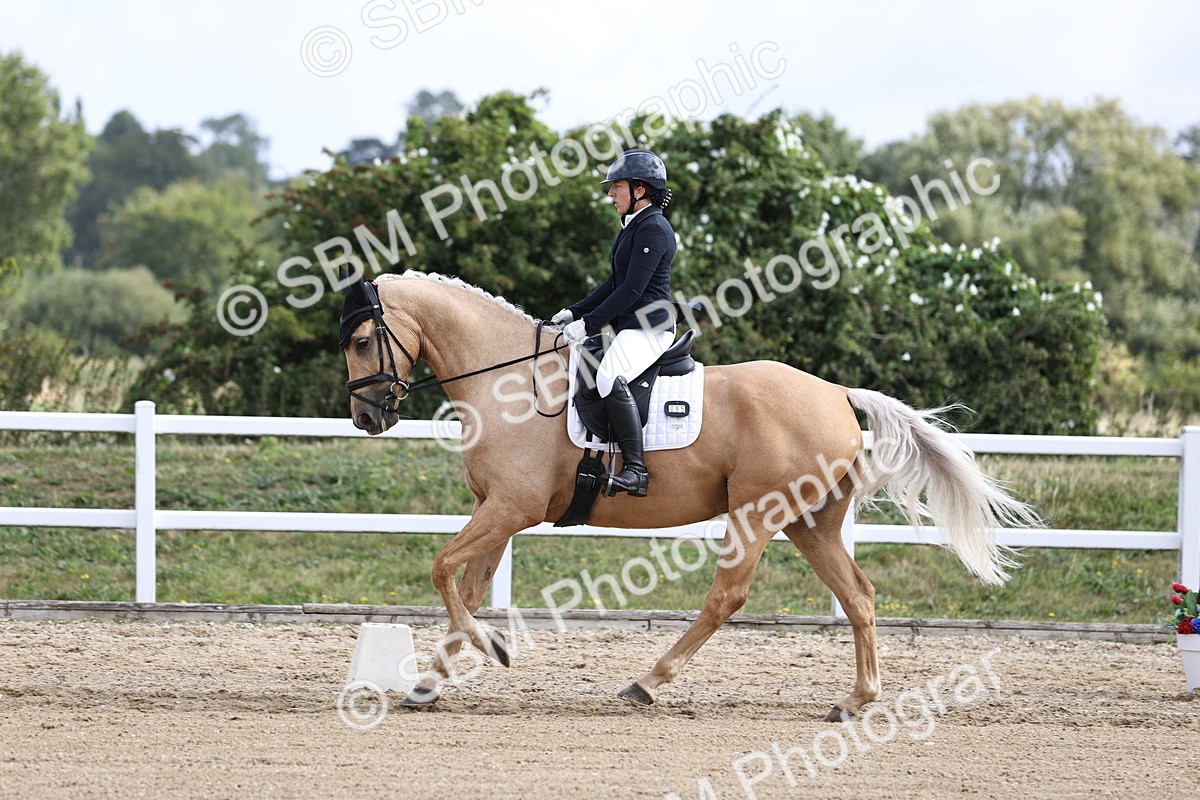 SBM_015397 - Class 14 - Novice 23 - 9.05-10.08