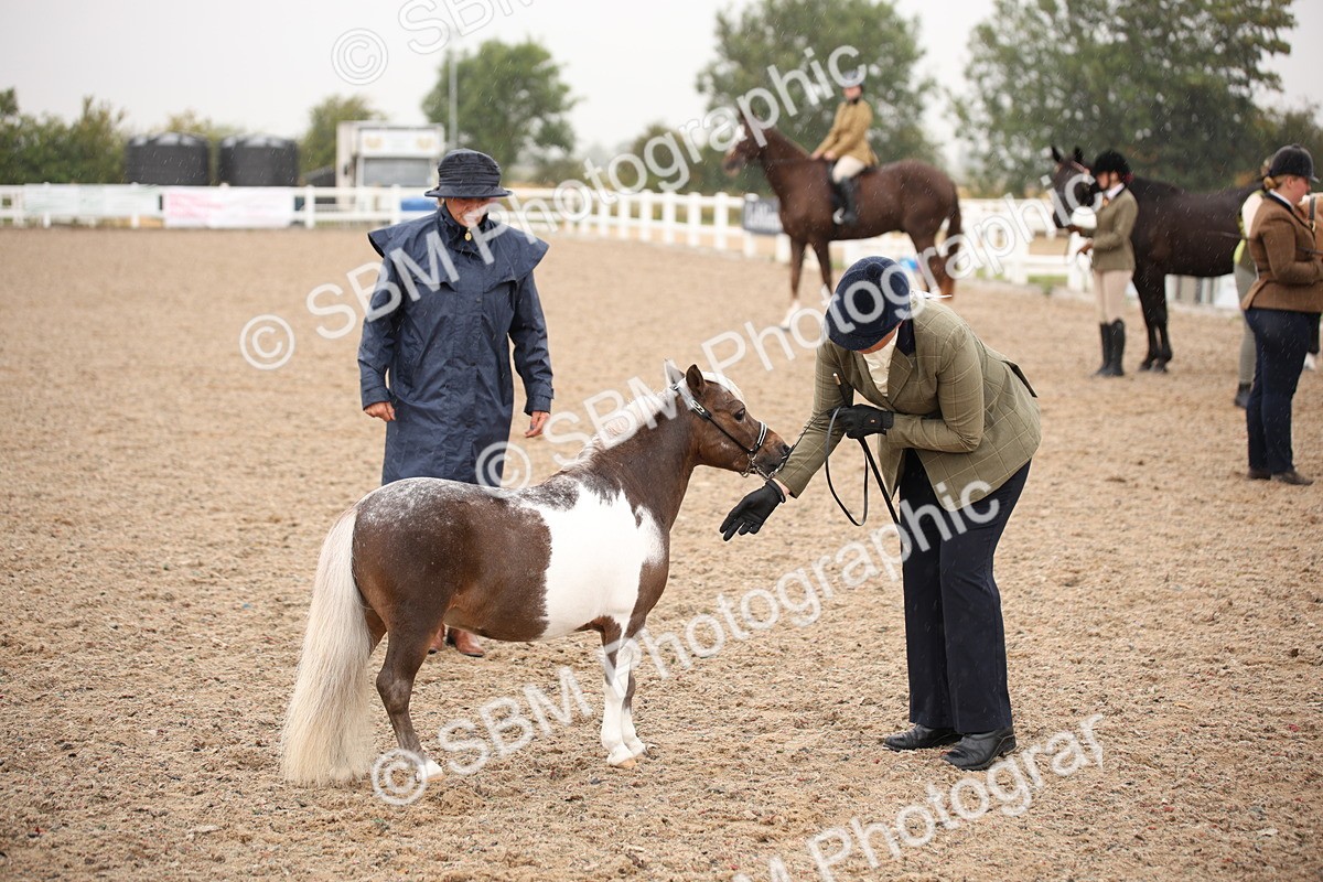 SBM_19281 - Class 701 - Best Turned Out IH & Ridden