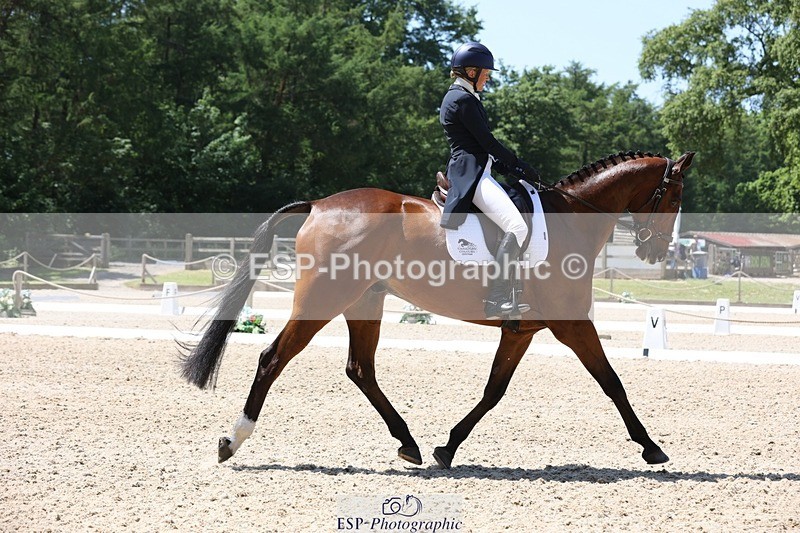 230526-130031-06299 - 164-TREBOR-Kelly_Mccarthy-maine-WEDTrotUp+DR