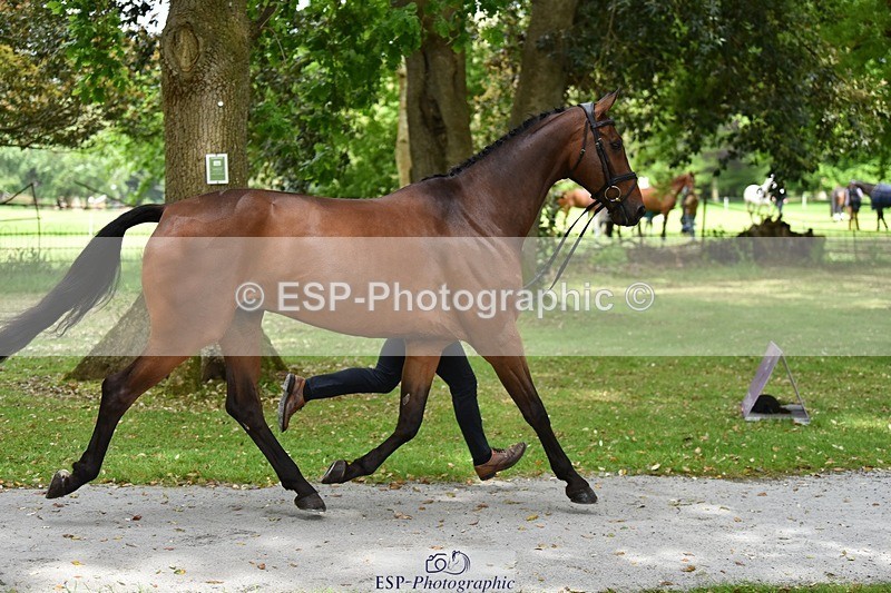 240522-150022-00037 - 301-CAMOUFLAGE-Alexander_Bragg