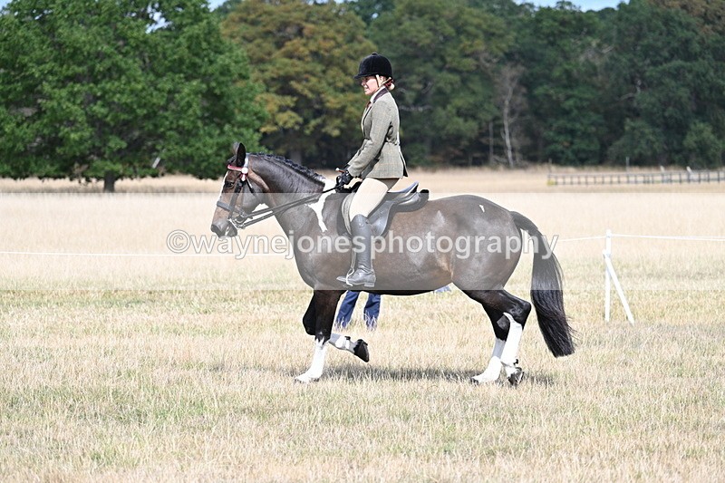 WJ7_5881 - Class 13 Ridden Veterans