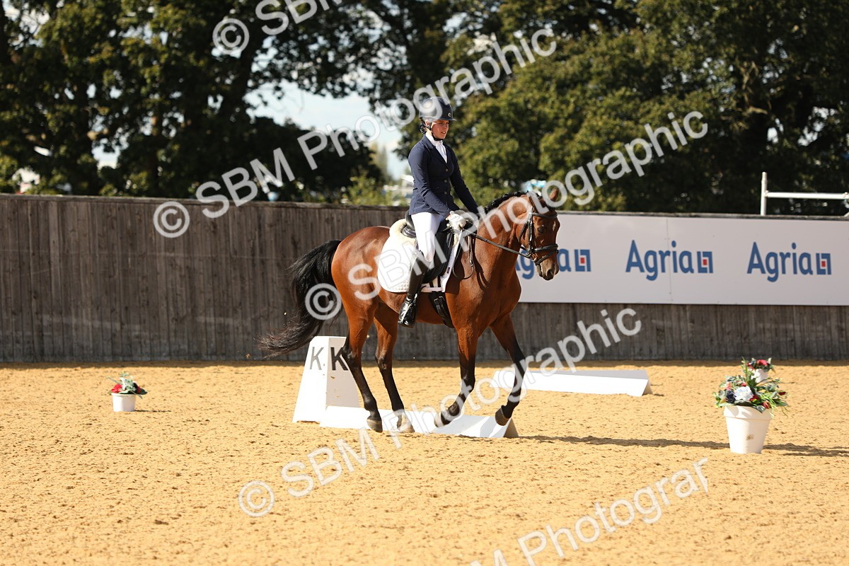 SBM_26636 - D17 - Grand Tour Championship - Novice 27