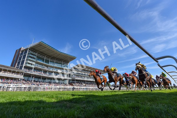 140525-Race 5-Rare Change-2 - Race 5 4.18pm Conundrum HR Consulting Handicap
