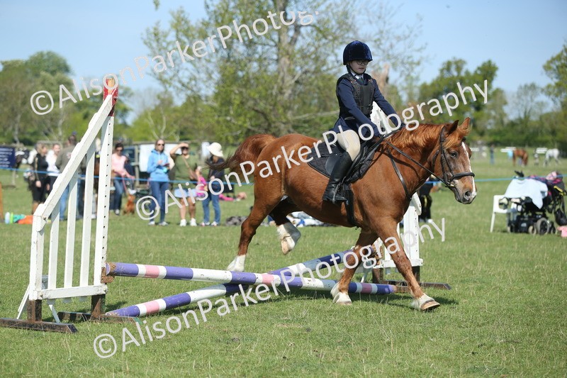 20250427-1903 - Class 2 - Mini Jumping 30cm