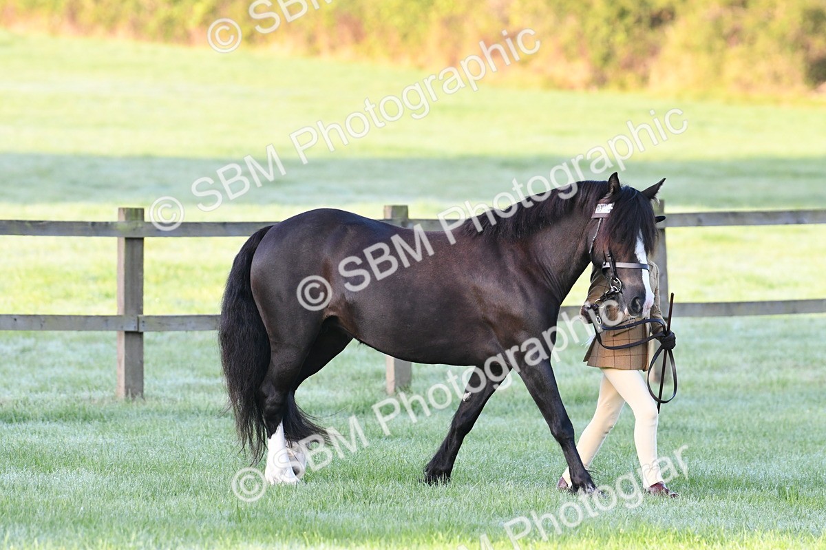 SBM_32422 - S15 - Condition & Turnout In Hand
