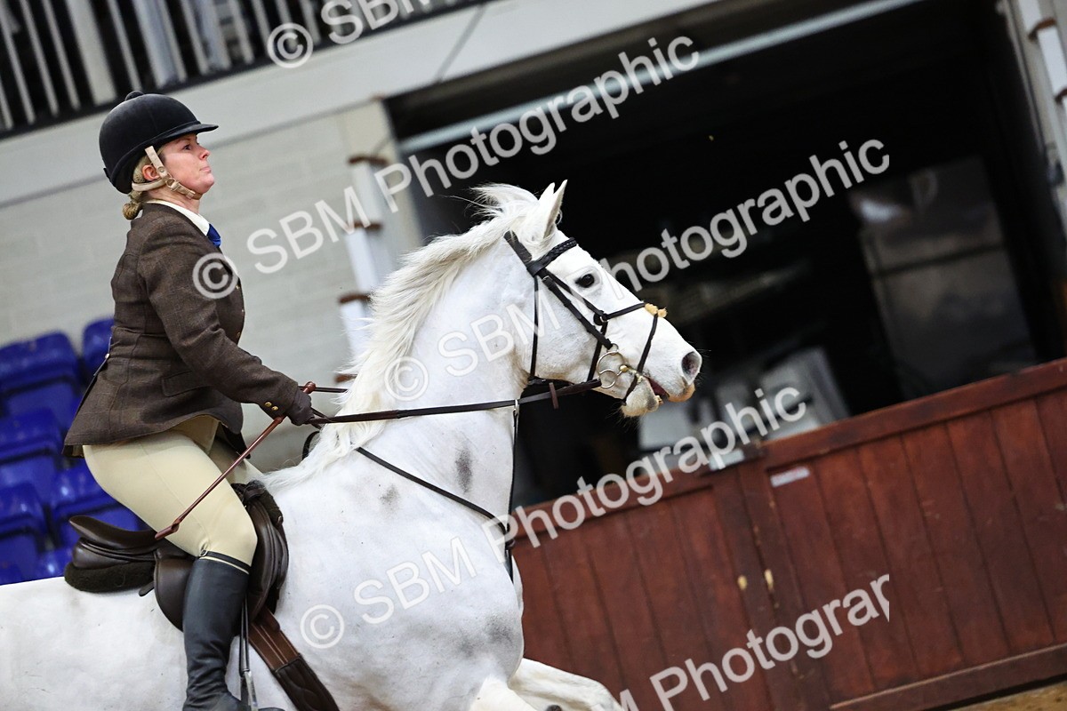 SBM_006629 - Class 43 - RIHS Qualifier Exceeding 43cms