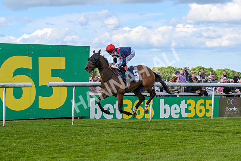 080624-Race 6-Walter Hartright-1726 - Race 6