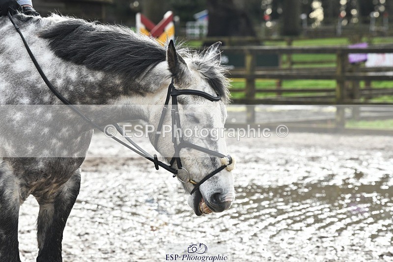 240218-112230-02182 - SJ 10 to 11