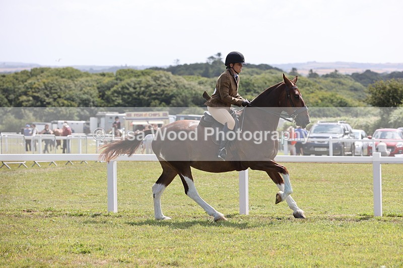 JPP_1390 - Class 17: Cornish Combination Open