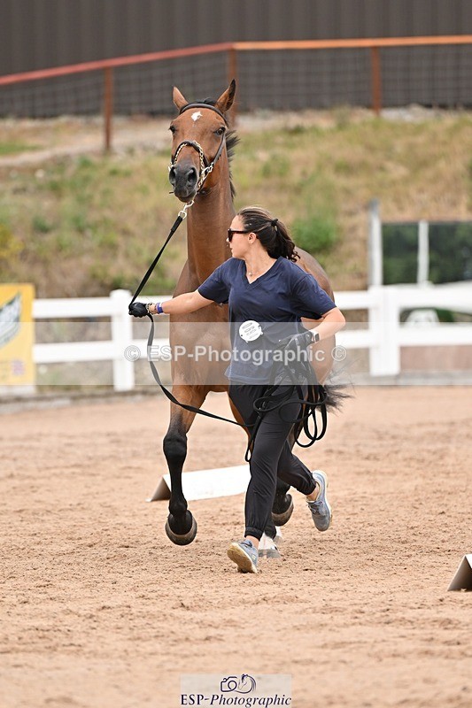 250716-160241-02357 - Trot Up 3.30 to 4.30