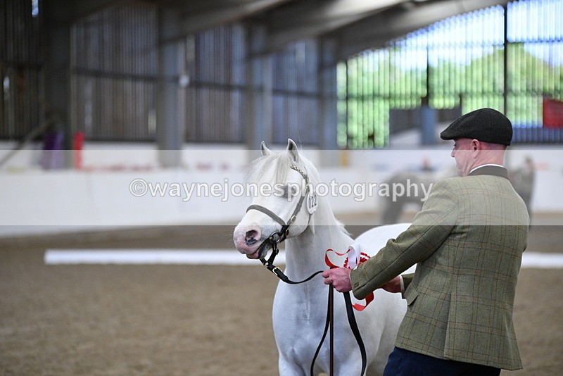 WJ5_5530 - Class 4 In hand M&M - small breeds