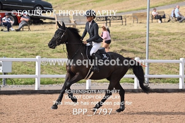 BPP_7797 - CLASS 16 FRI GFS Saddles Senior Newcomers/1.10m Open