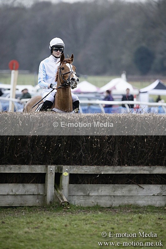 PtP 110318 527 - Hampshire Hunt Point-to-Point Hackwood Park 11/03/18