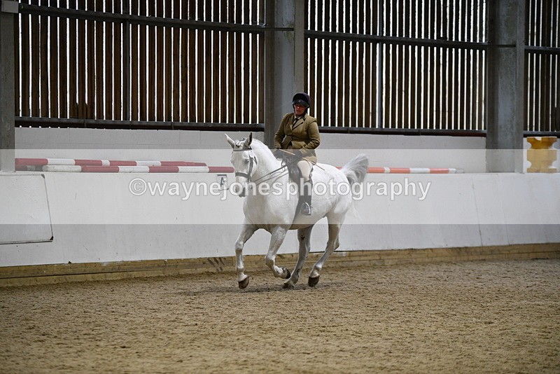 WJ5_9044 - Class 15 Ridden Show Horse