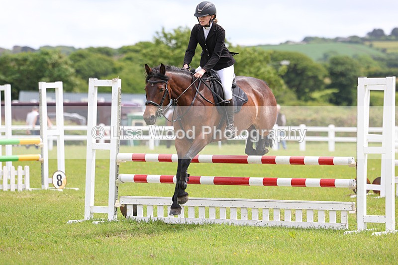 3E7A7256 - Class 13: Senior British Novice/90cm open